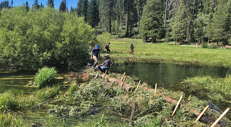 4 people working in meadow with pond