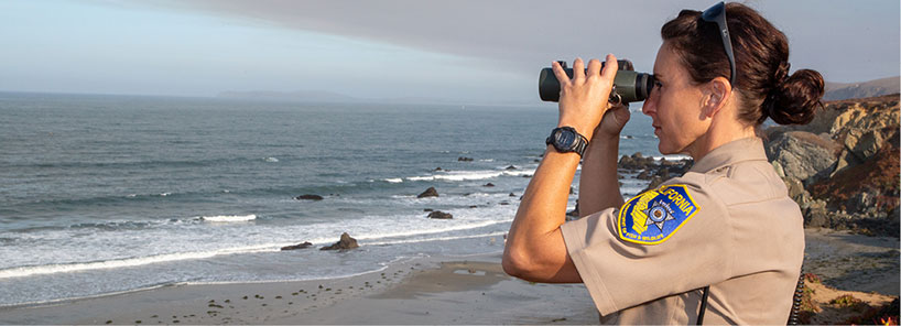 Wildlife officer peers through binoculars.