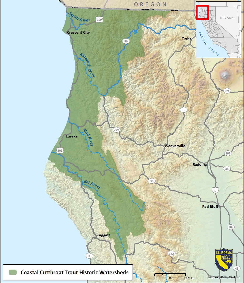 Map of coastal cutthroat trout historic watersheds - click to enlarge in new window