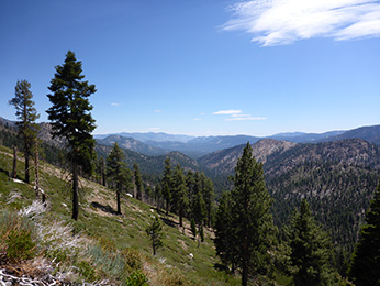 forested mountain valley