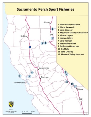 Map of California highlighting 12 reservoirs and lakes that have Sacramento Perch sport fisheries: West Valley, Biscar, Lake Almanor, Mountain Meadows, Abotts Lagoon, Lagoon Valley, Lake Herman, East Walker, Bridgeport, Gull Lake, Lake Crowley, Pleasant Valley. Click to open in new window