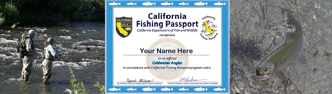 three images side by side, two fly fishermen fishing in a bubbling river, a Coldwater Angler Award certificate, and a swimming rainbow trout hooked on a line