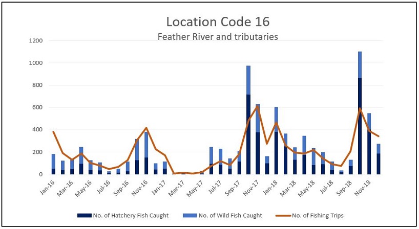 Graph of the reported number of steelhead caught and the number of fishing trips per month for the Feather River and its tributaries (Location Code 16) from 2016 through 2018. 
