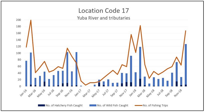 Graph of the reported number of steelhead caught and the number of fishing trips per month for the Yuba River and its tributaries (Location Code 17) from 2016 through 2018. 