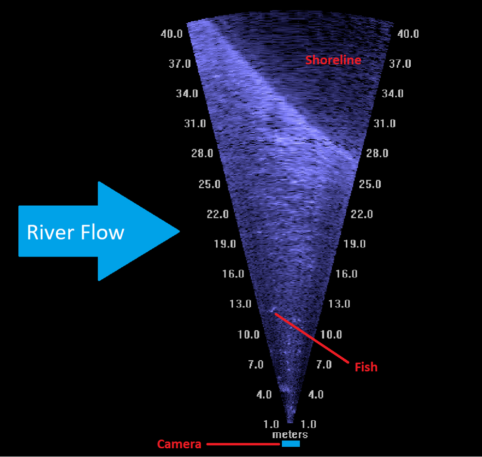 Steelhead Report and Restoration Card