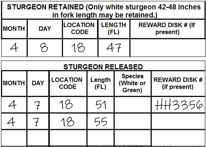 sturgeon report card with information filled in according to the example provided