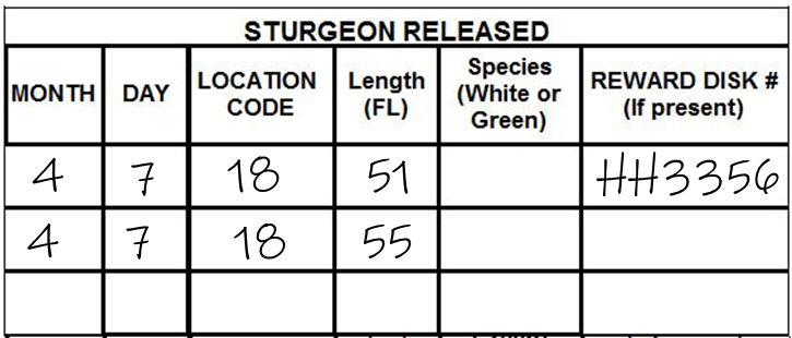 sturgeon report card with information filled in according to the example provided