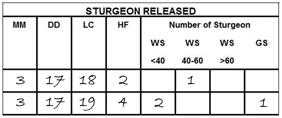 Example of season-based sturgeon report card that has been correctly filled in after fishing on one day in two locations
