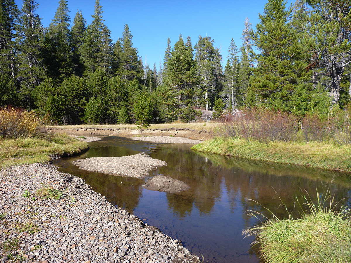 Designated Wild and Heritage Trout Waters