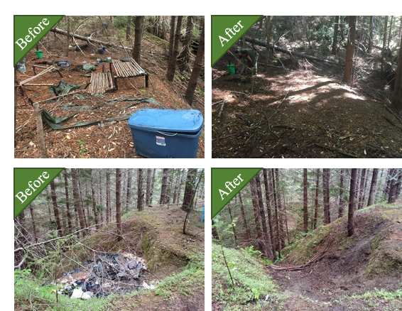 before and after restoration of damaged and polluted streambeds