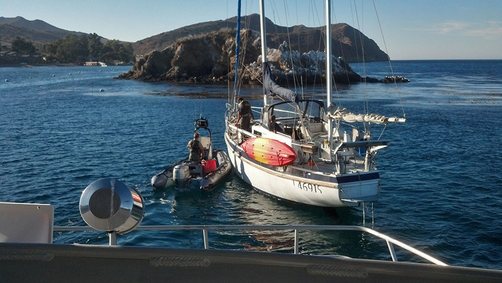 wildlife officers boarding a sailboat