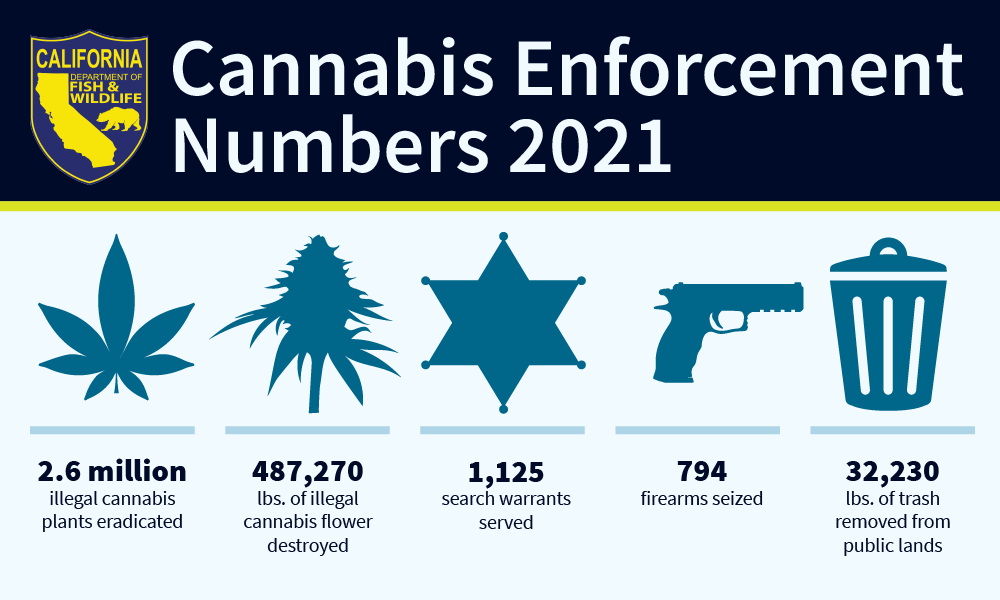 Image of CDFW enforcement statistics: 2.6 million illegal cannabis plants eradicated, 487,270 pounds of illegal cannabis flower destroyed, 1,125 search warrants served, 794 firearms seized, 32,230 pounds of trash removed from public lands.