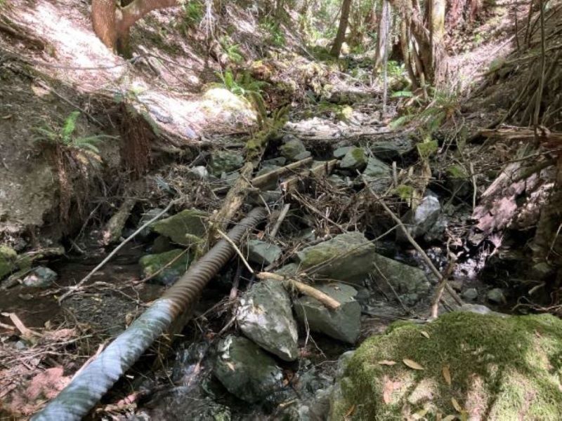 Illegal water diversion in southern Trinity County