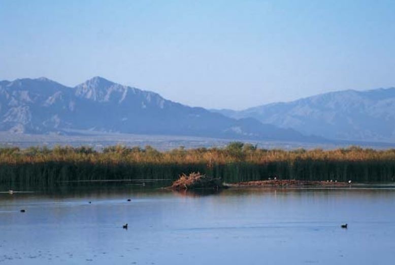 landscape image of imperial wildlife area