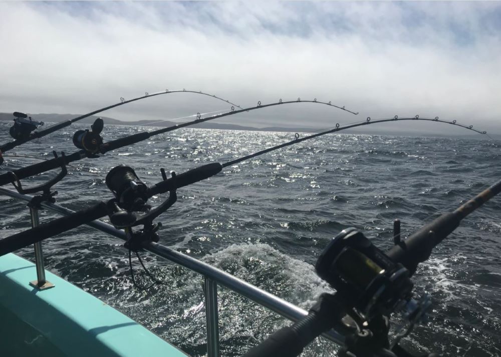 Fishing poles on ocean salmon boat