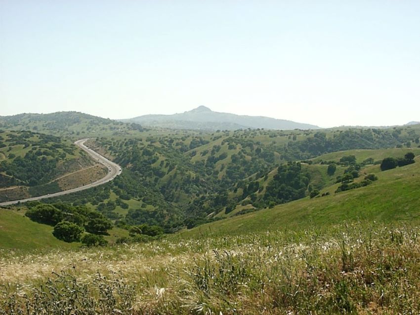 Rolling green hills in Western Merced County featuring a road cutting through the hills and a peak in the distance.