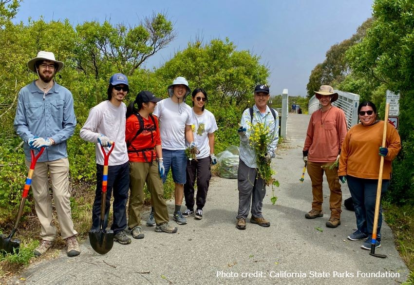 a group of 8 individuals on a road holding tools such as shovels to remove invasive species plants next to them
