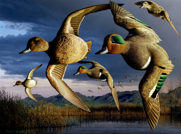 California Duck Stamp Art Gallery