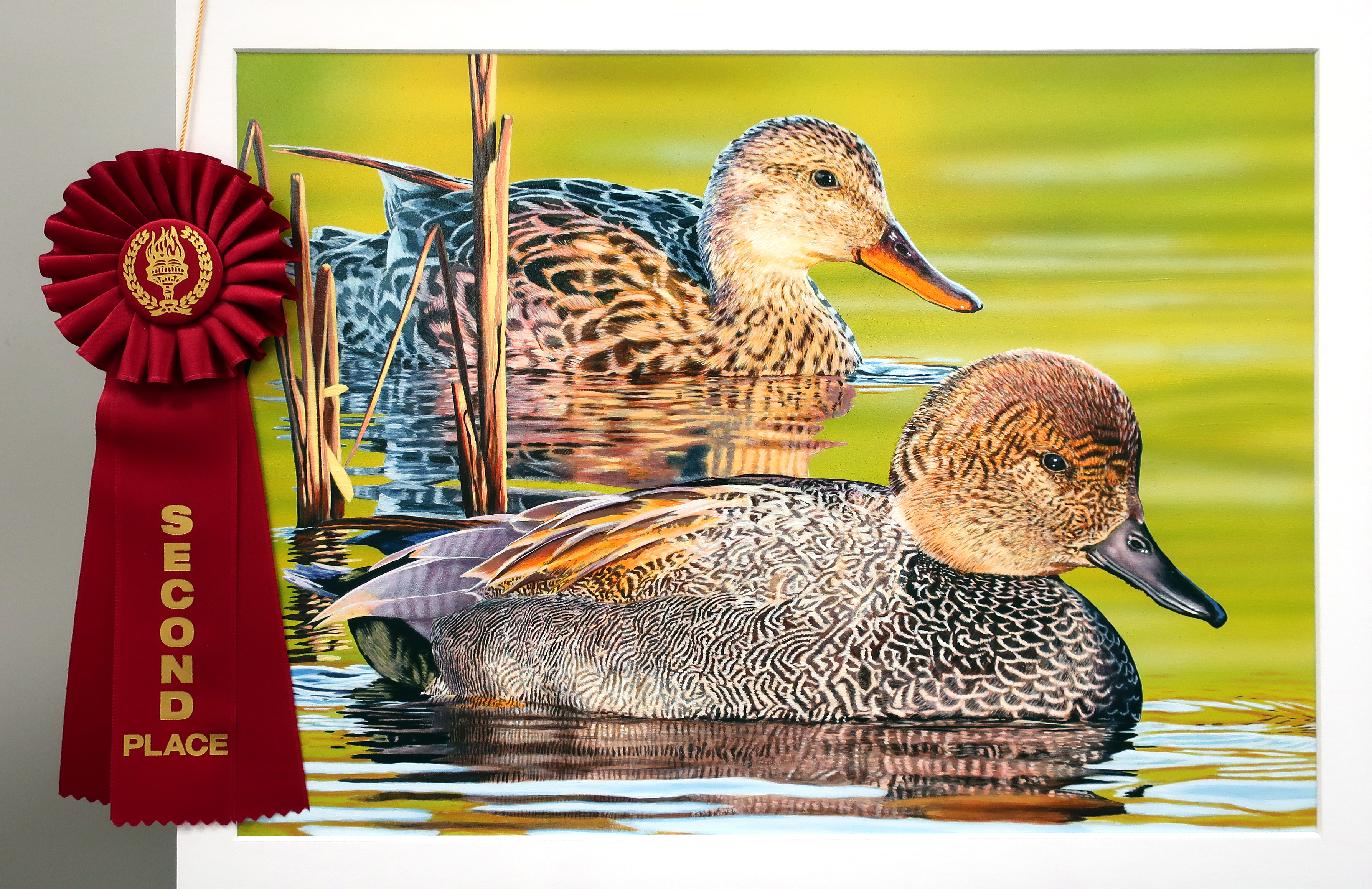 2nd place duck stamp of two gadwalls in water