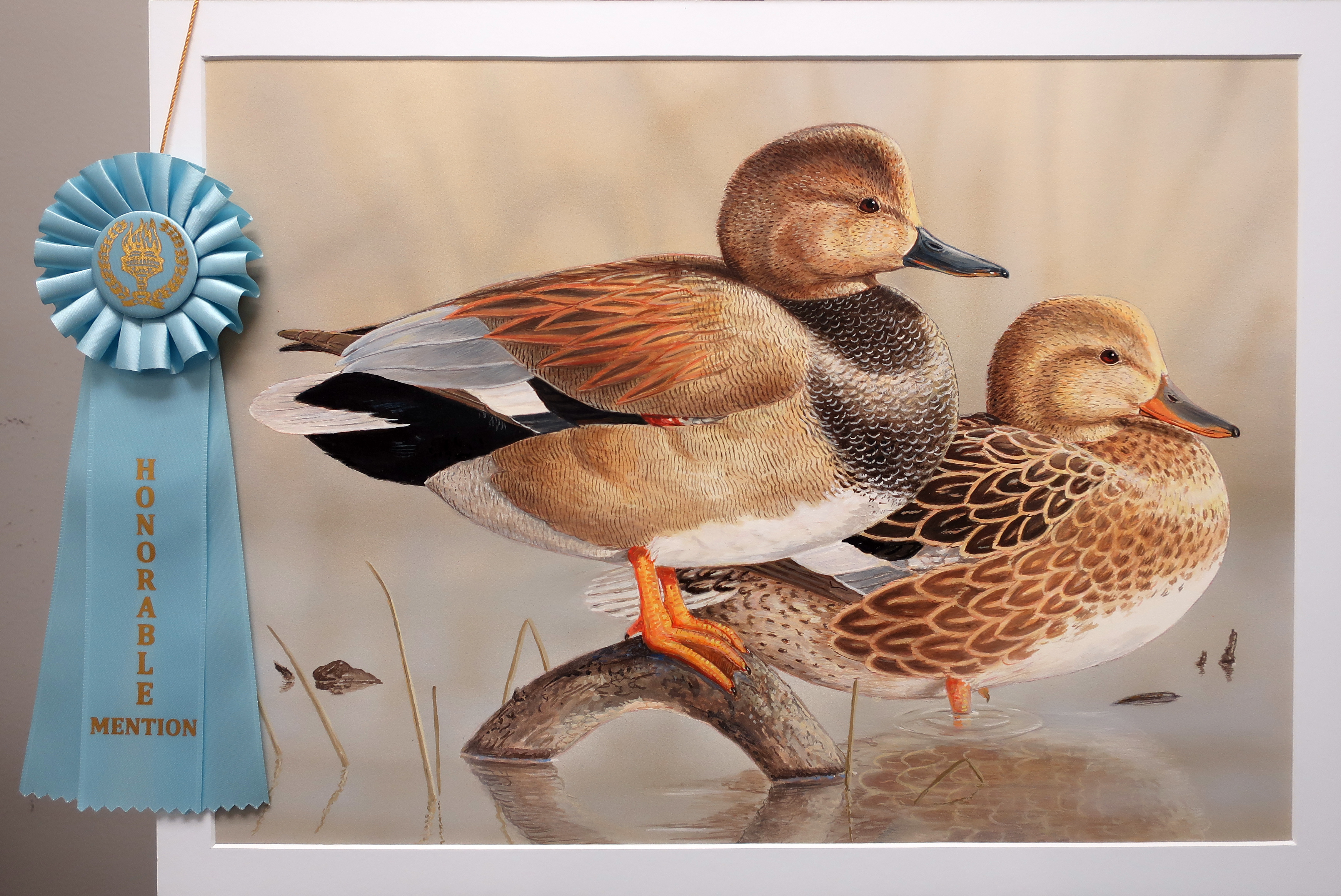4th place duck stamp of two gadwalls