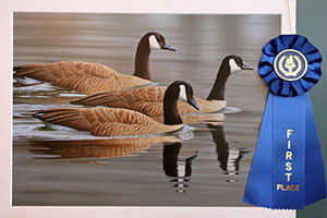 Painting with blue ribbon of three Canada geese swimming in water with reflections.