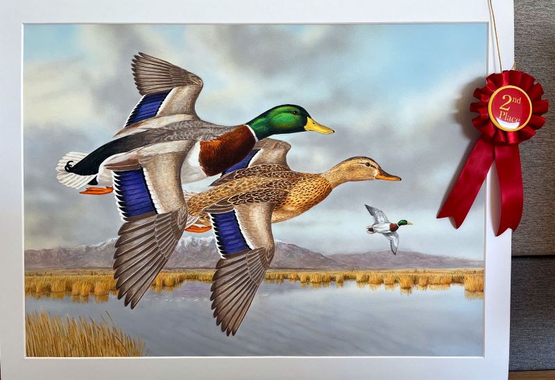 Painting with red ribbon of mallards in flight - click to enlarge in new tab