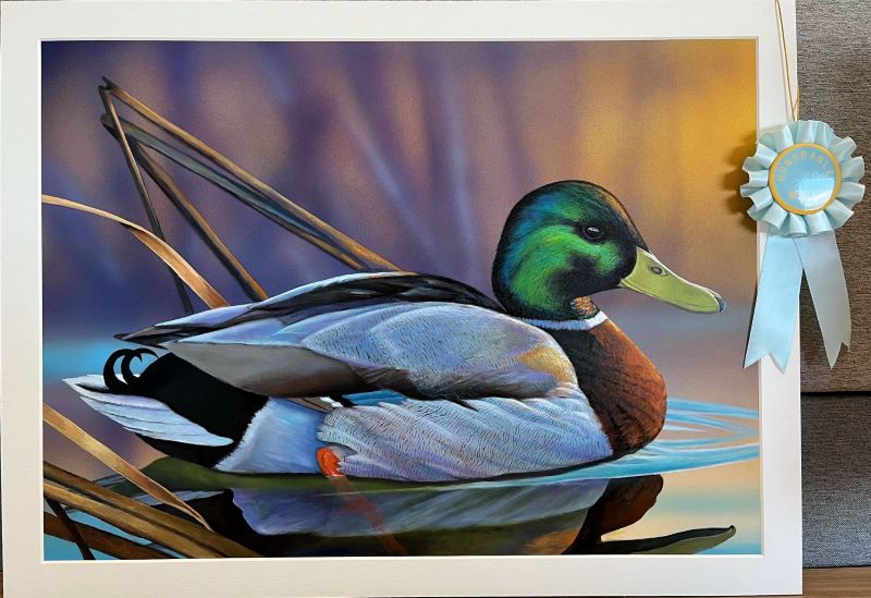 Painting with light blue ribbon of mallard in water - click to enlarge in new tab