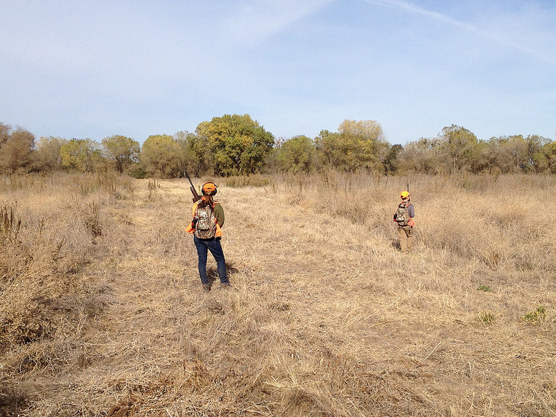 Two people in blaze orange hunting in an upland field