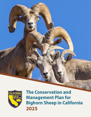 Cover of The Conservation and Management Plan for Bighorn Sheep in California