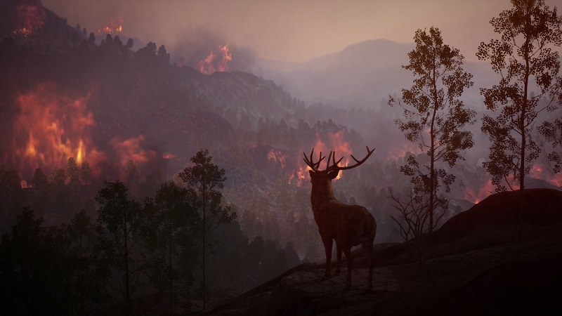 A buck deer watches as a hillside burns from a wildfire.