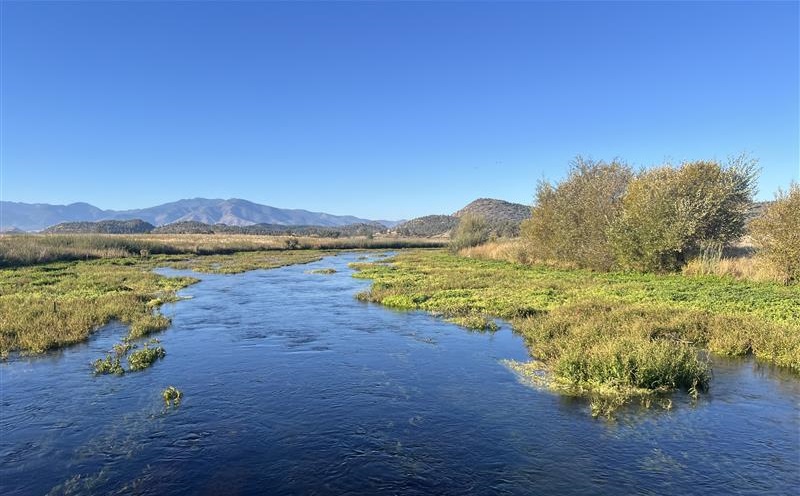 CDFW's Big Springs Wildlife Area