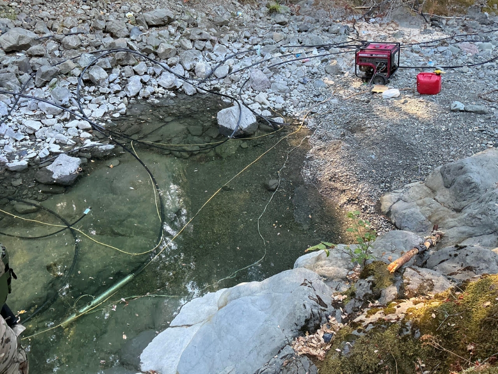 CDFW News | CDFW Cannabis Program Safeguards California’s Natural Resources CDFW News | CDFW Cannabis Program Safeguards California’s Natural Resources