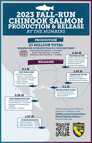 Infographic on 2023 Fall-Run Chinook Salmon Production and Releases - click image for larger version