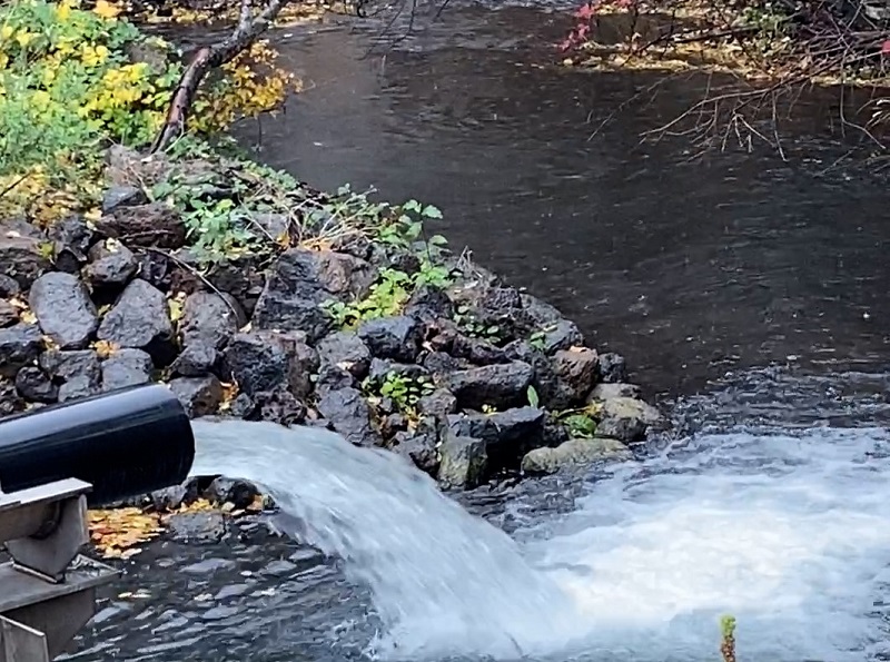 A discharge pipe carries salmon from the Fall Creek Fish Hatchery into Fall Creek.