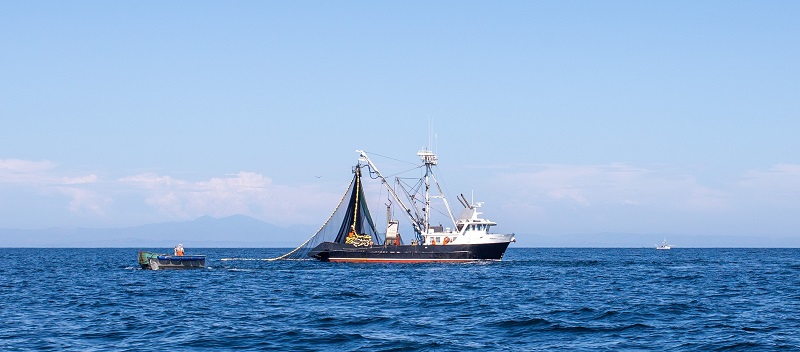 A commercial fishing boat at work in the ocean.