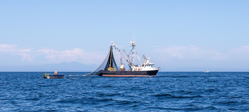 A commercial fishing boat works the ocean waters.