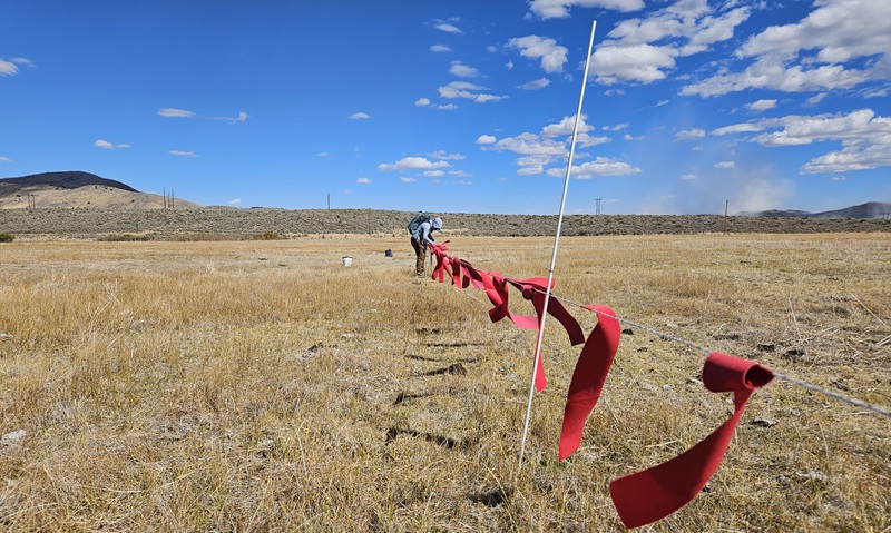 Ribbon hung on barbed wired to scare wolves away.