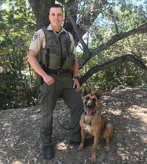 CDFW Wildlife Officer Jonathan Garcia stands with his K-9 partner, Remi, under a tree.