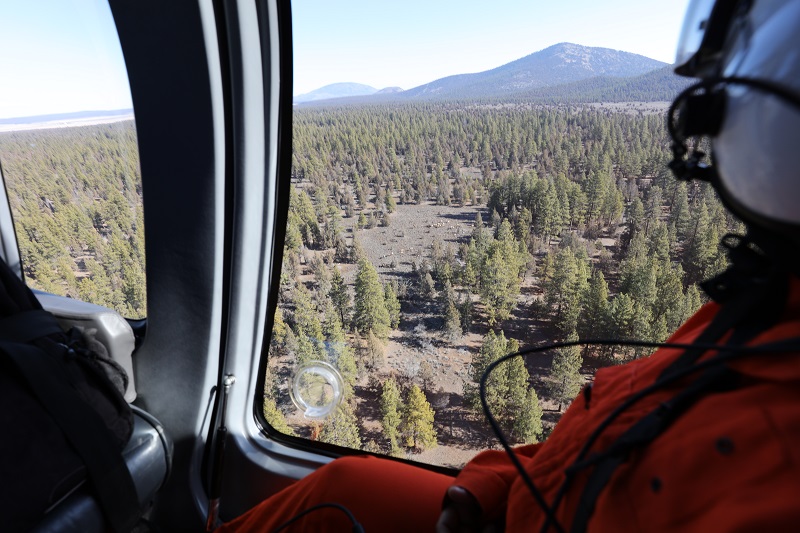 A helicopter team surveys for elk and other big game for population monitoring.