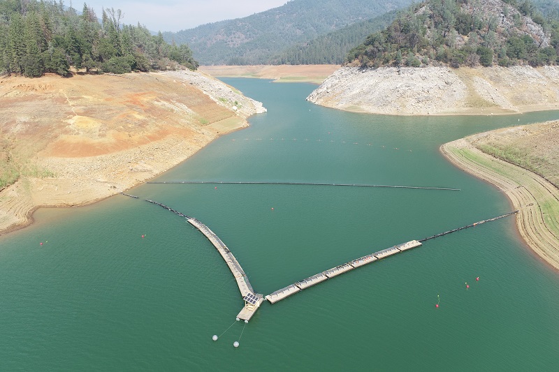 An aerial photo looking down on Shasta Reservoir at the system of buoys and nets in place as part of the Juvenile Salmon Collection System.