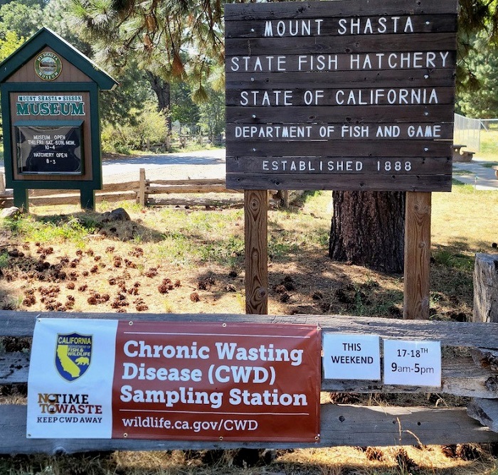 CDFW's Mount Shasta Fish Hatchery Sign
