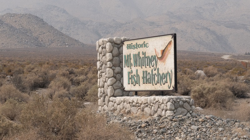 A sign set against a mountainous backdrop, welcomes visitors to the Mt. Whitney Fish Hatchery.