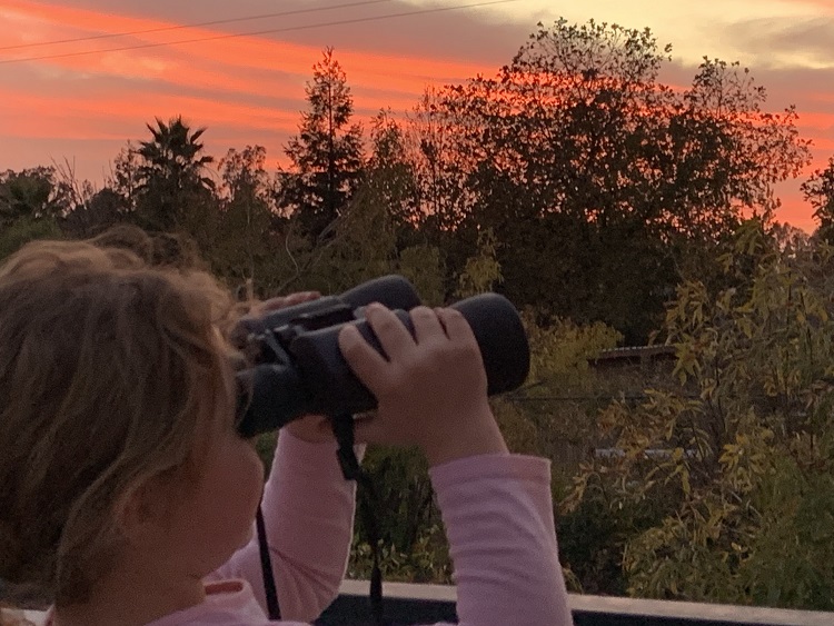 A young girl looks across the evening landscape through a pair of binoculars.