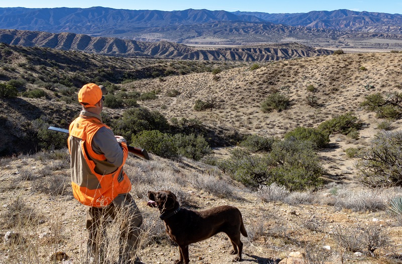 A quail hunter, shotgun in hand, stands with his Labrador retriever overlooking the Cuyama Valley in Santa Barbara County.