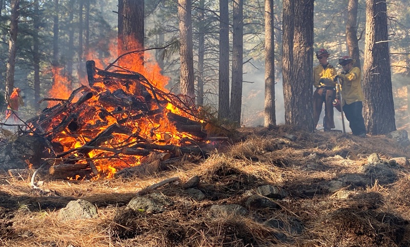 CAL FIRE oversees a pile burn at CDFW's Truckee River Wildlife Area.