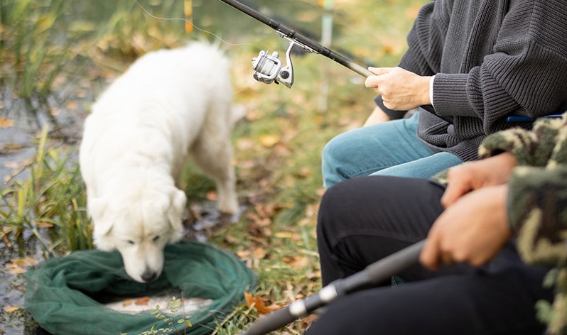 A dog investigates a fish caught by anglers.