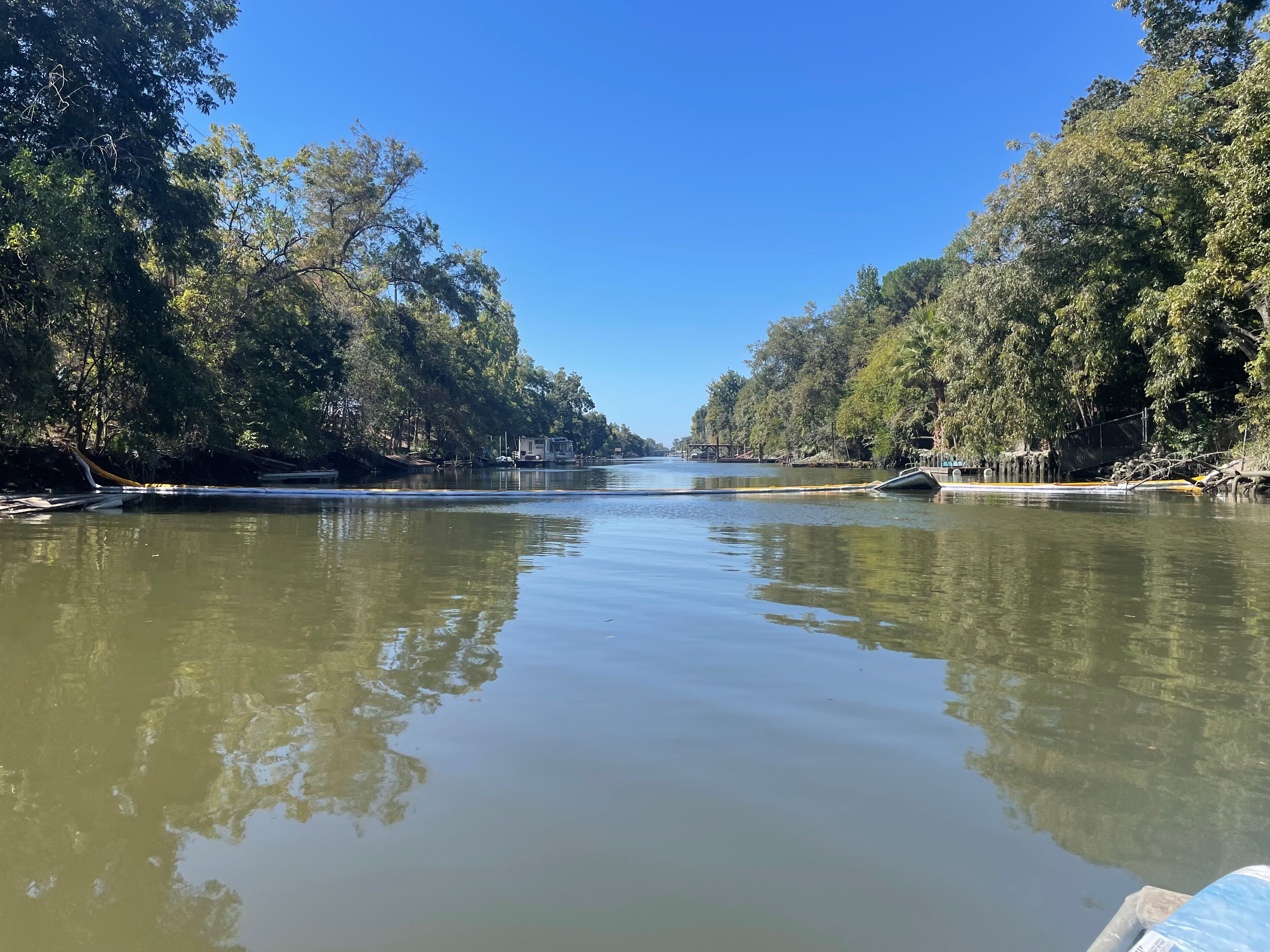 Canal with trees on either side