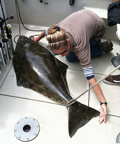 Person measuring fish on boat