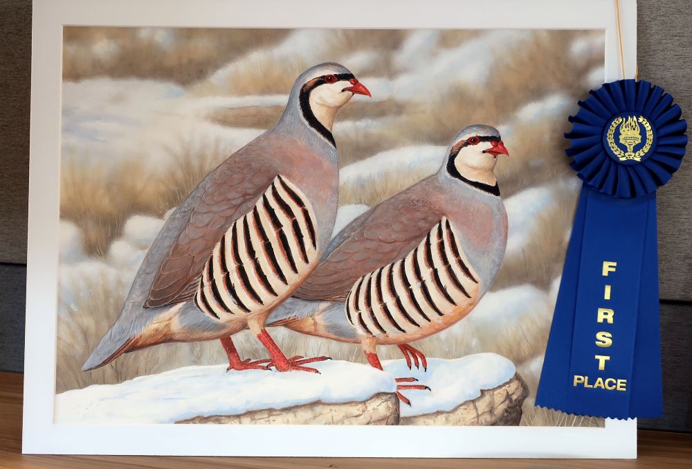Painting of two birds standing on rocks with grass and snow in background, with 1st place ribbon - link open in new tab or window.