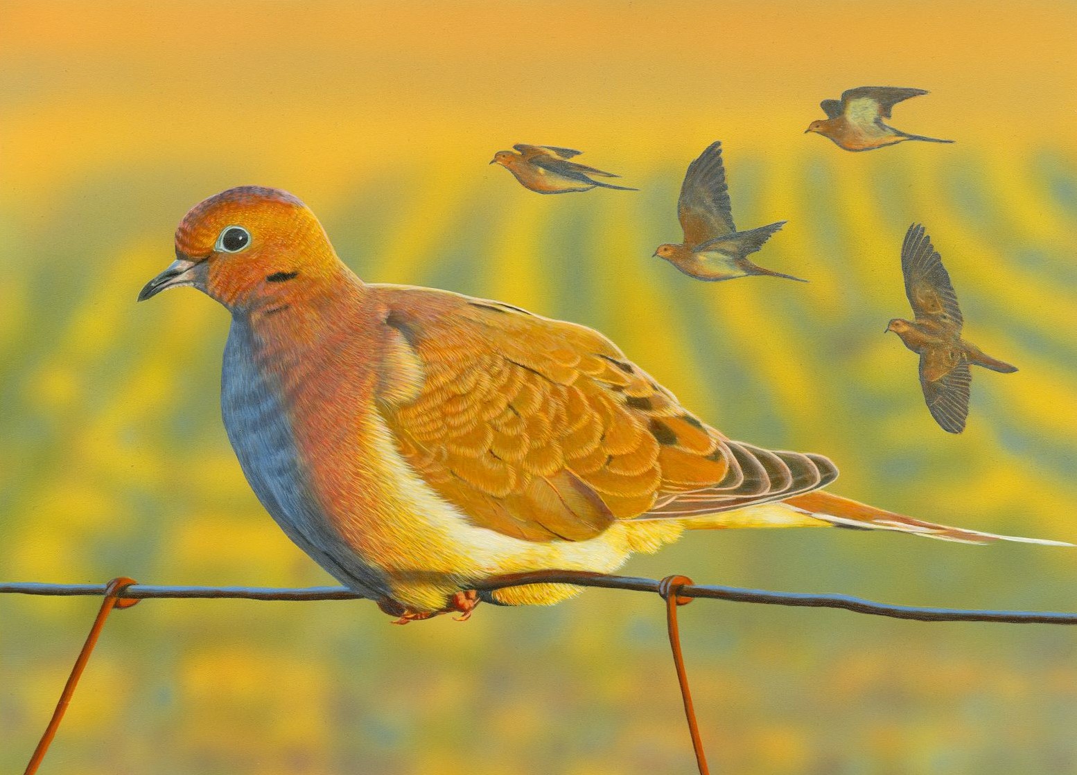 2020 winning painting by Buck Spencer of a mourning dove sitting on wire
